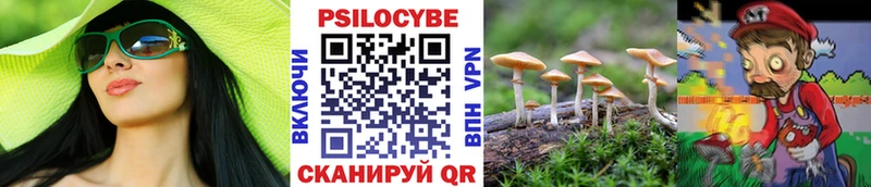 Купить закладки  Боровичи  Псилоцибиновые грибы Psilocybine cubensis 